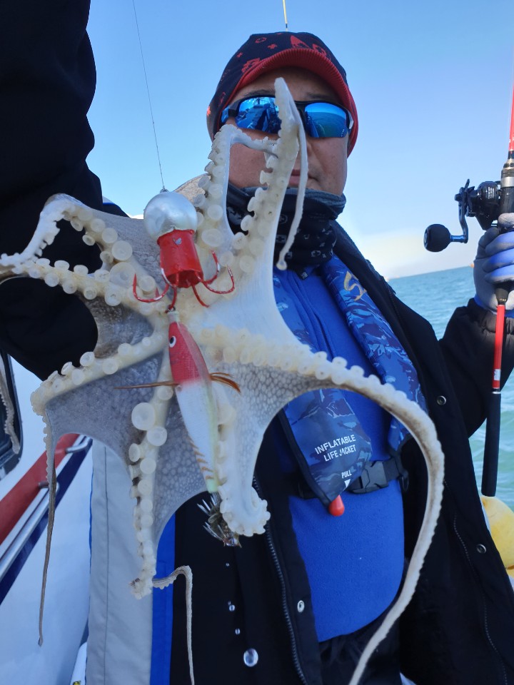 [아라호] 3월 22일 왕주꾸미 조황