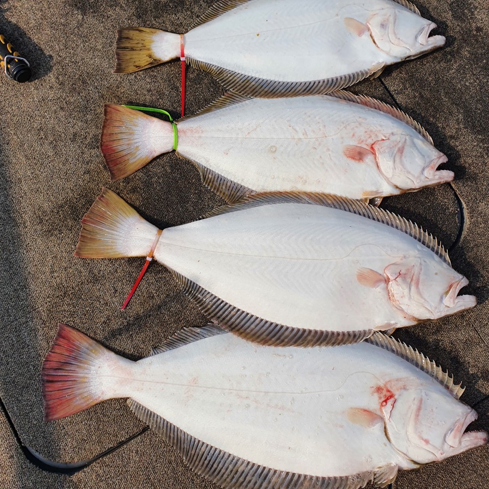 [아라2호] 4월 30일 대광어탐사 조황