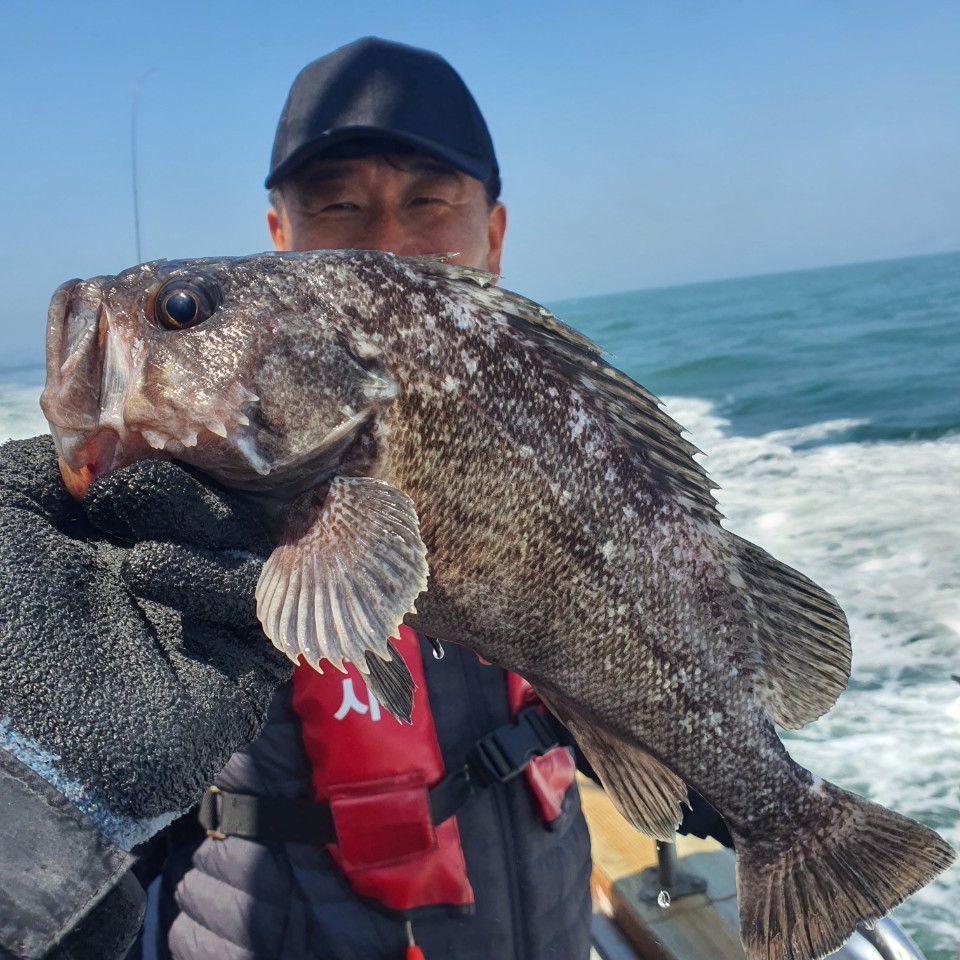 [아라호] 4월 18일 우럭단체조황 1부