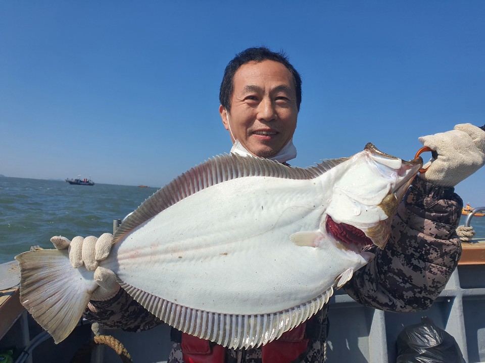 [아라호] 4월 26일 대광어탐사 조황