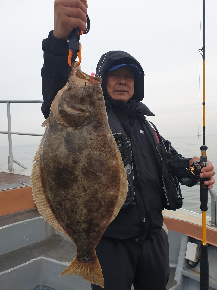 [아라호] 5월 5일 대광어조황