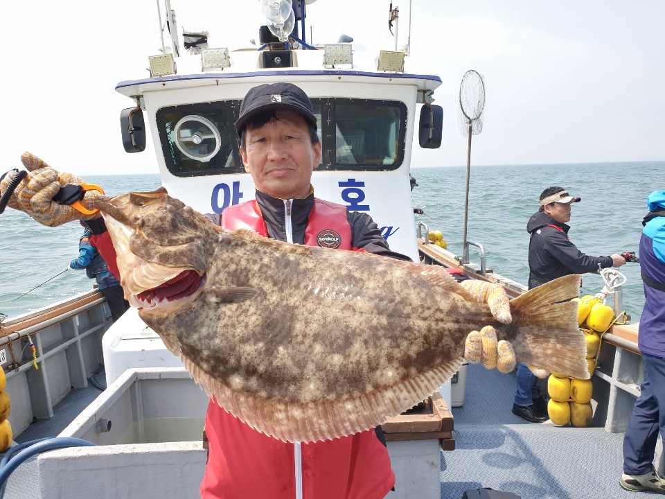 [아라호] 5월 1일 아라호 대광어 조황