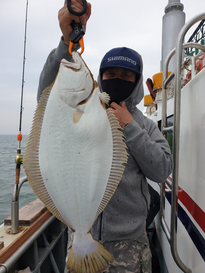 [아라호] 5월 3일 대광어 조황