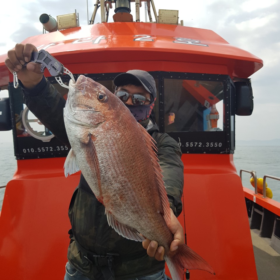 [아라2호] 5월 28일 참돔탐사 조황(5인출조)