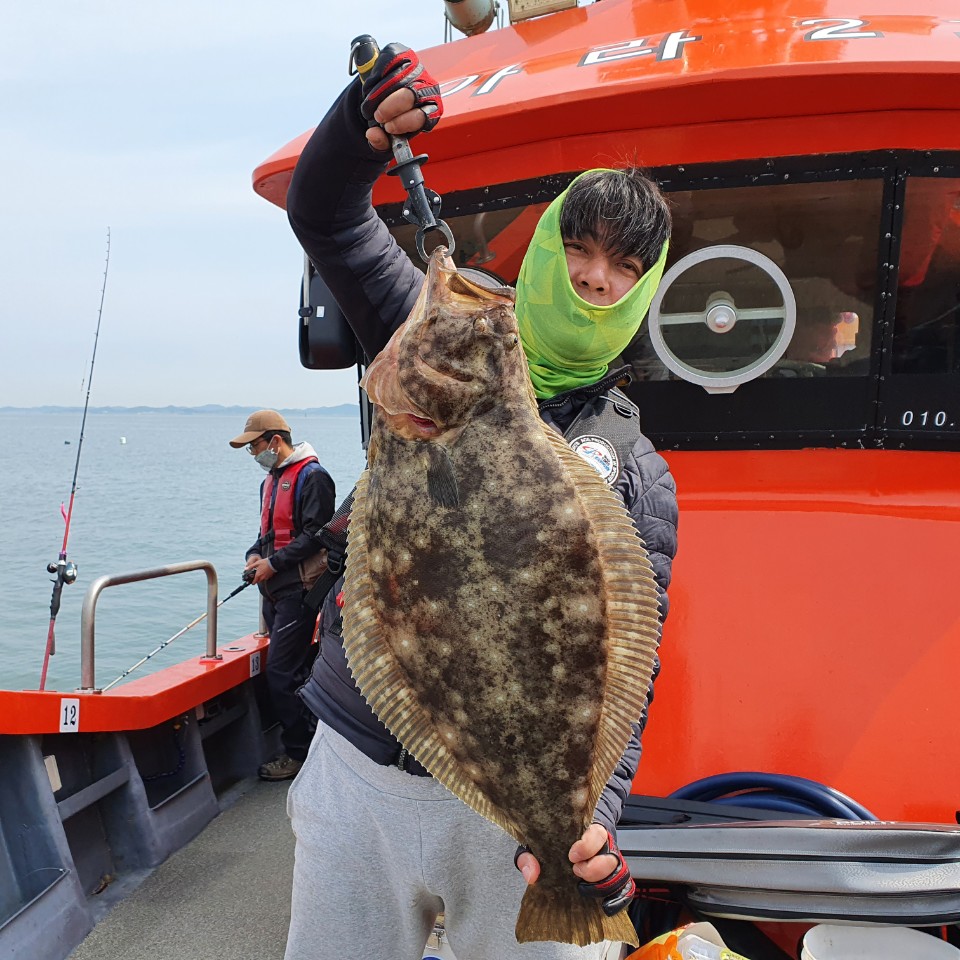 [아라2호] 5월 21일 대광어조황 (단체독선)