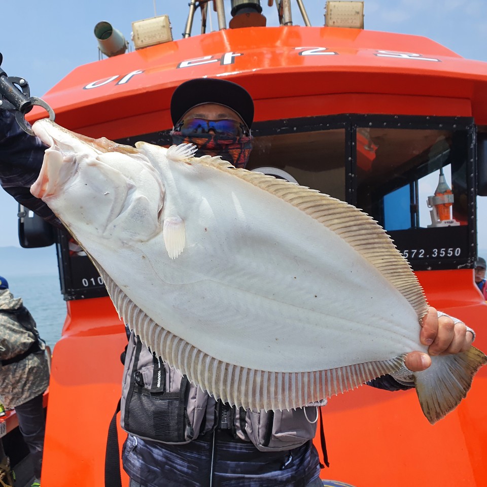 [아라2호] 5월 23일 대광어 조황