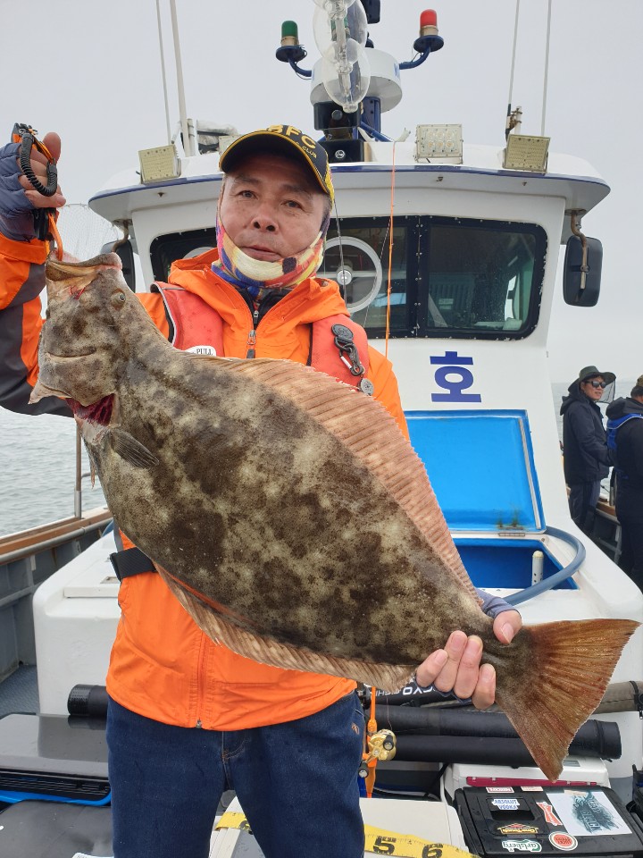 [아라호] 5월 17일 대광어조황