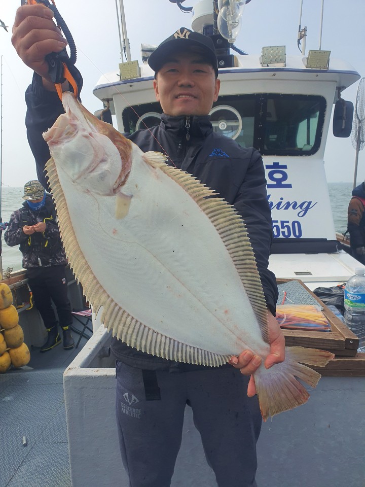 [아라호] 5월 10일 대광어 조황 2부