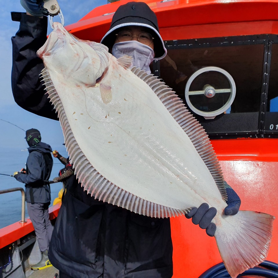 [아라2호] 6월 13일 대광어 조황