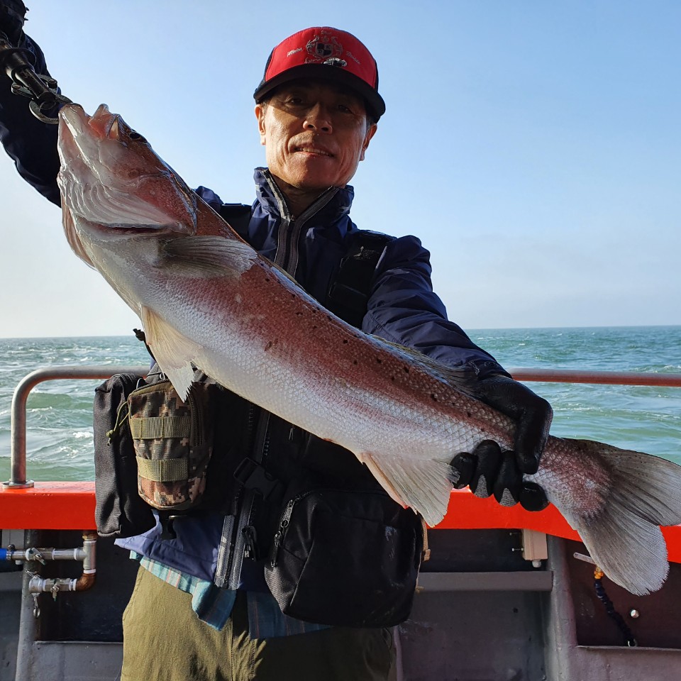 [아라2호] 6월 1일 외수질 조황(소수인원조황)