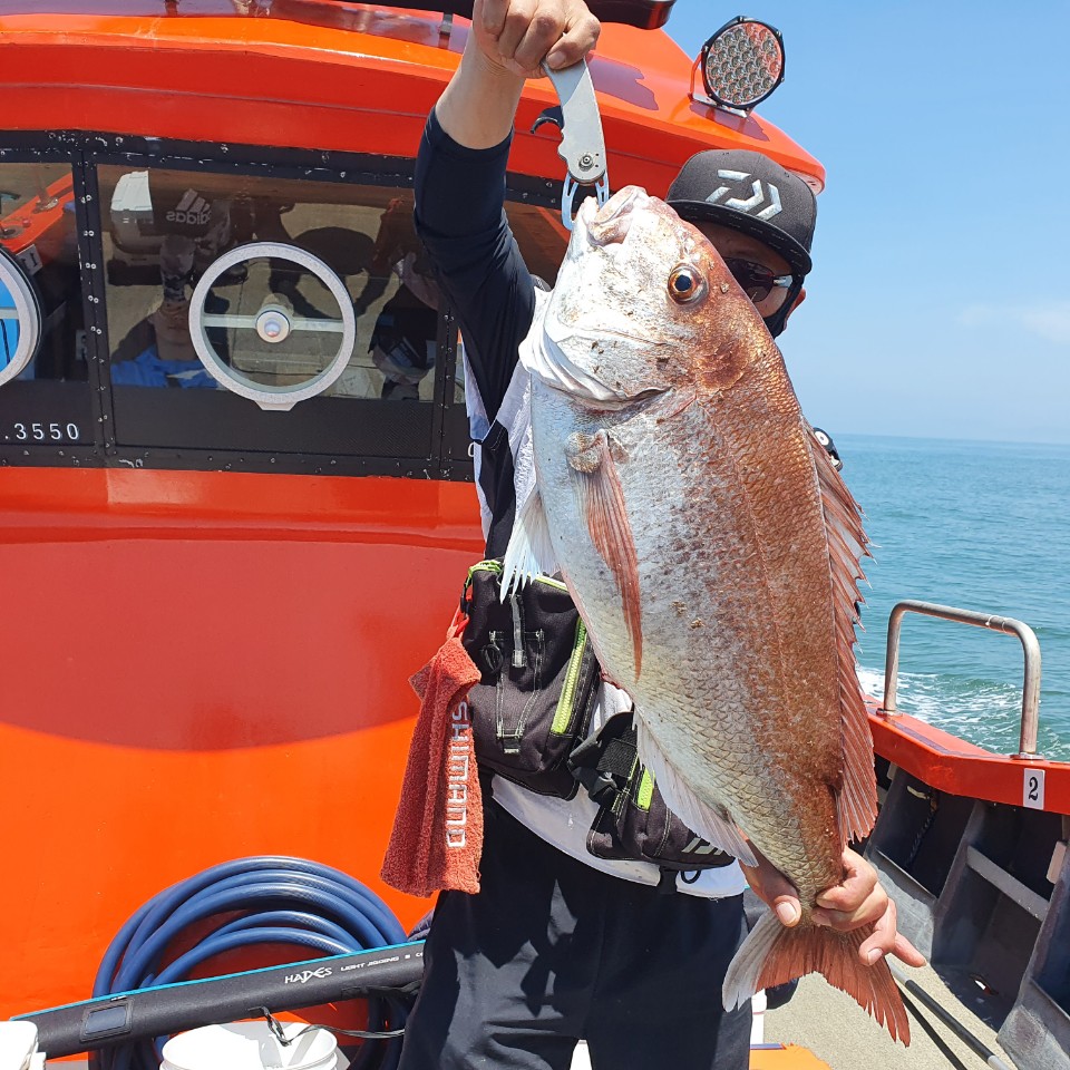 [아라2호] 7월 5일 참돔 타이라바 조황(2)