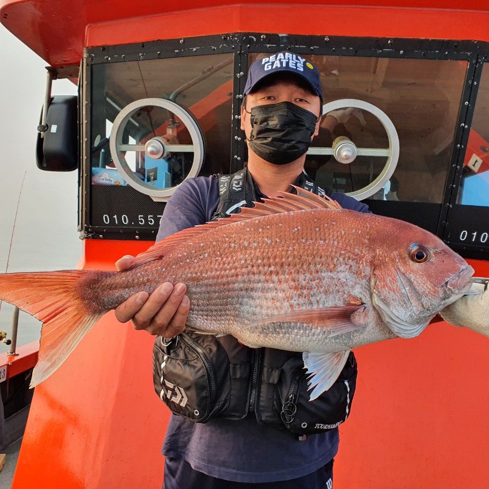 [아라2호] 7월 3일 소수인원 참돔타이라바 조황