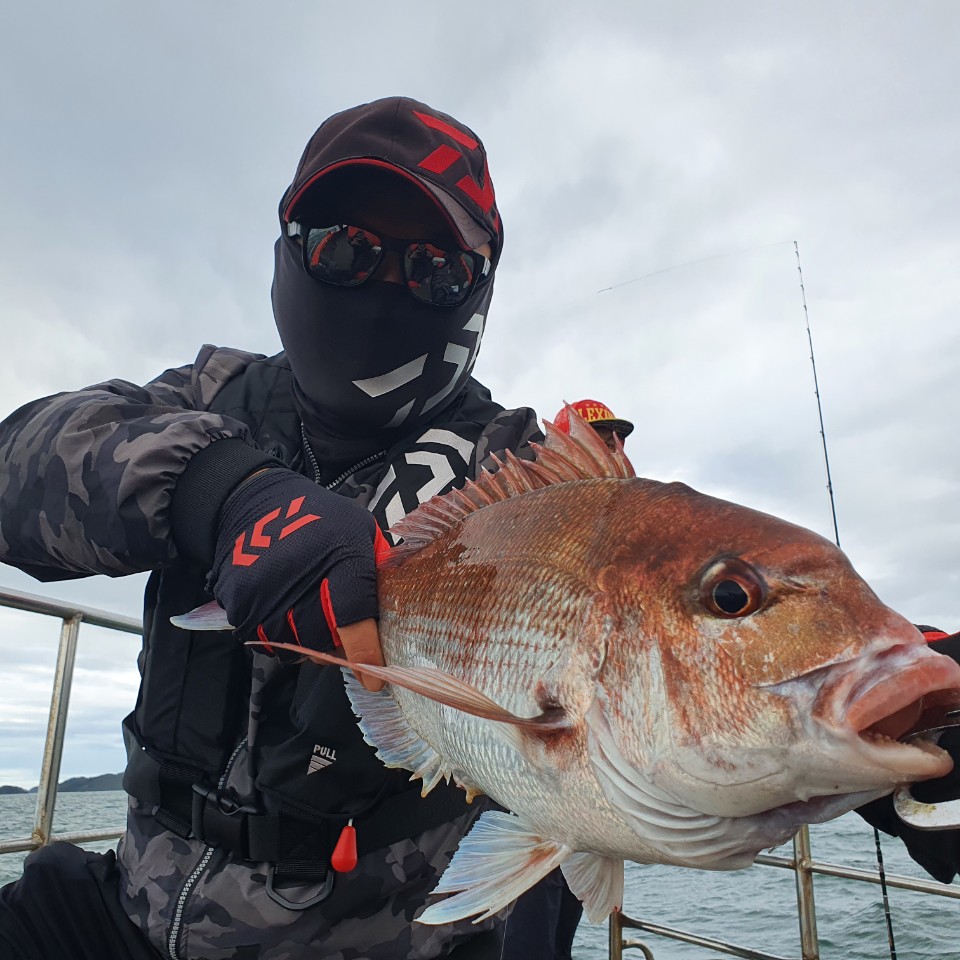 [아라2호] 7월 25일 참돔 타이라바 조황