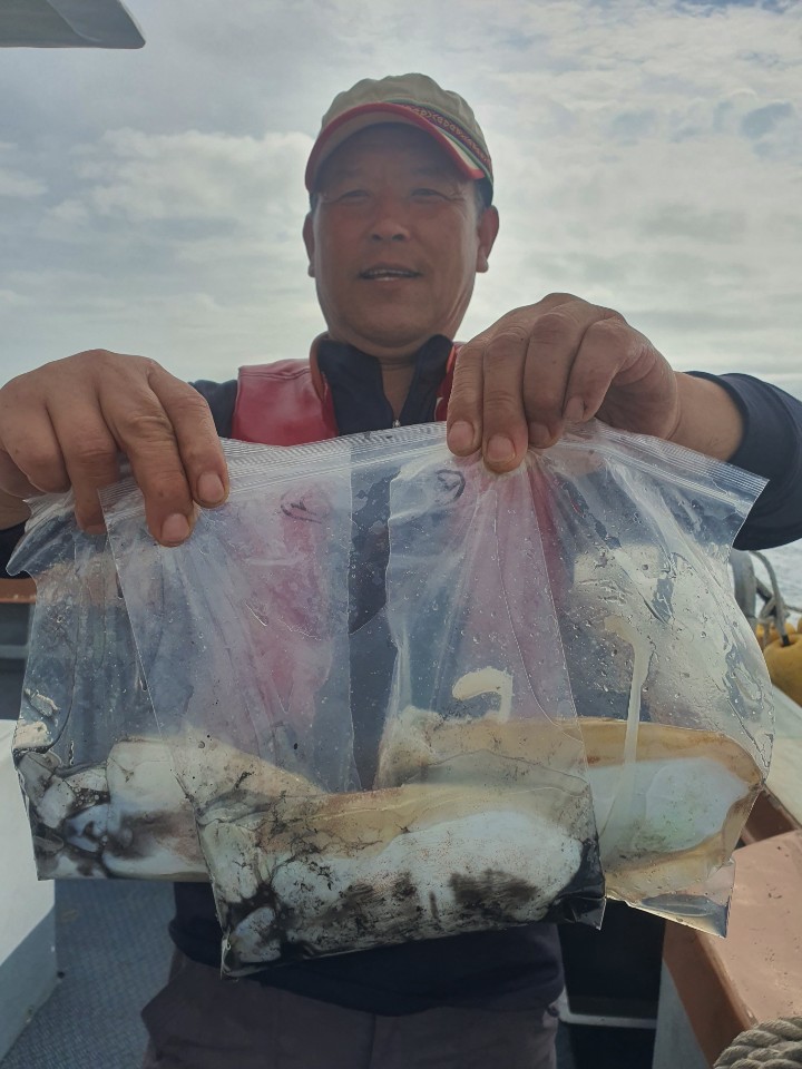 [아라호] 7월 31일 갑오징어 조황