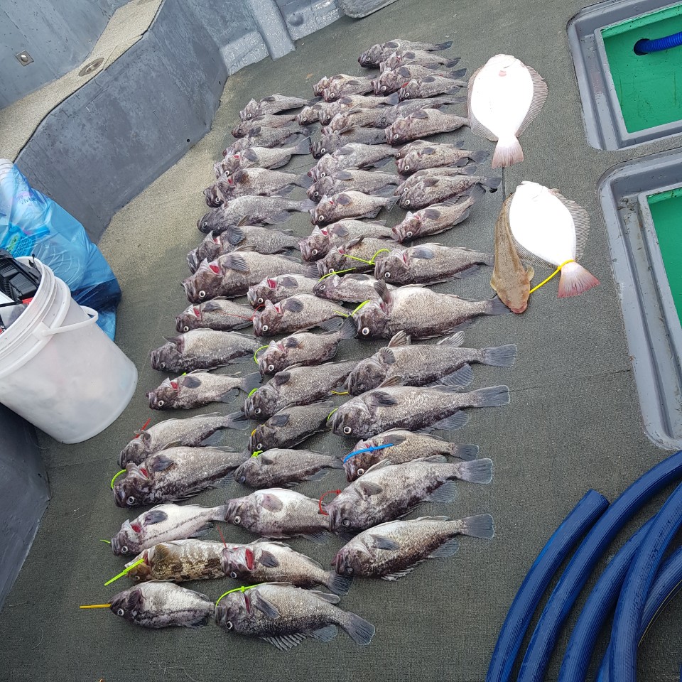 [아라2호] 7월 30일 소수인원 외수질