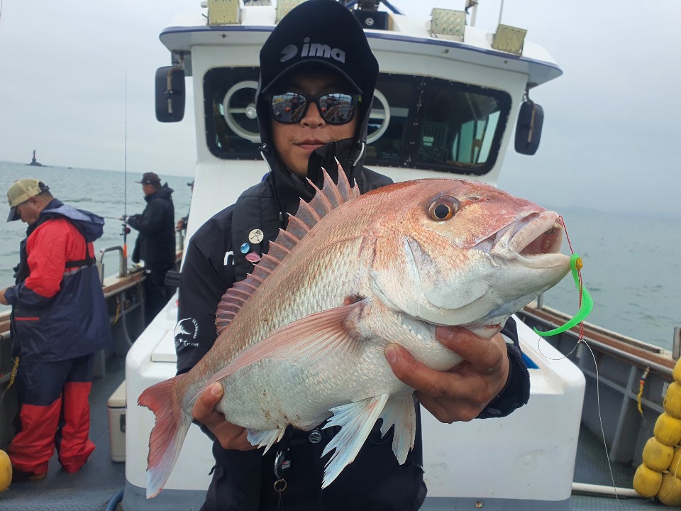 [아라2호] 8월 8일 참돔타이라바  조황