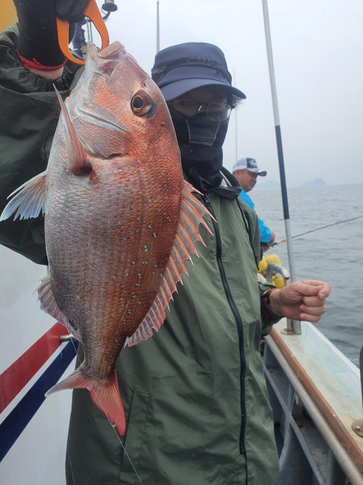 [아라호] 8월 15일 참돔타이라바 조황