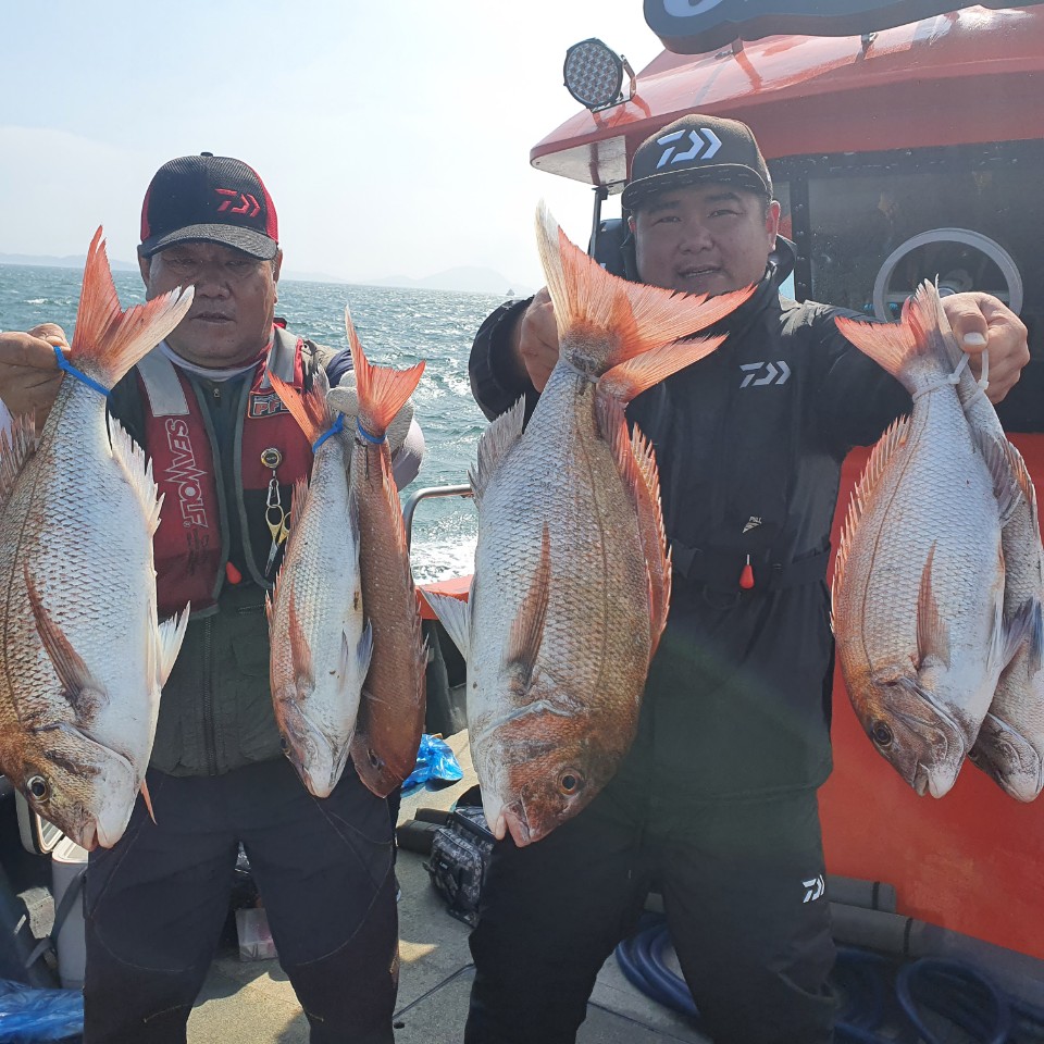 [아라2호] 8월 16일 참돔타이라바  조황