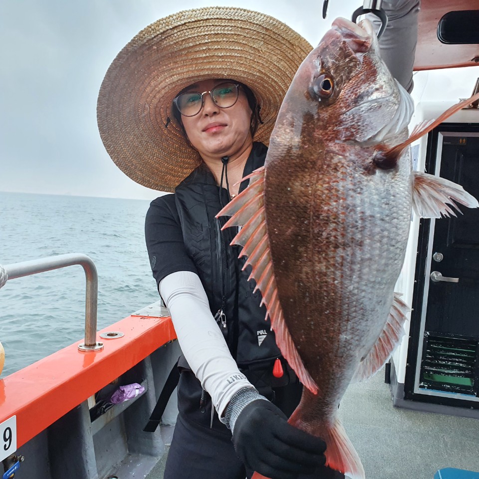 [아라2호] 8월 17일 참돔타이라바  조황(6인출조)