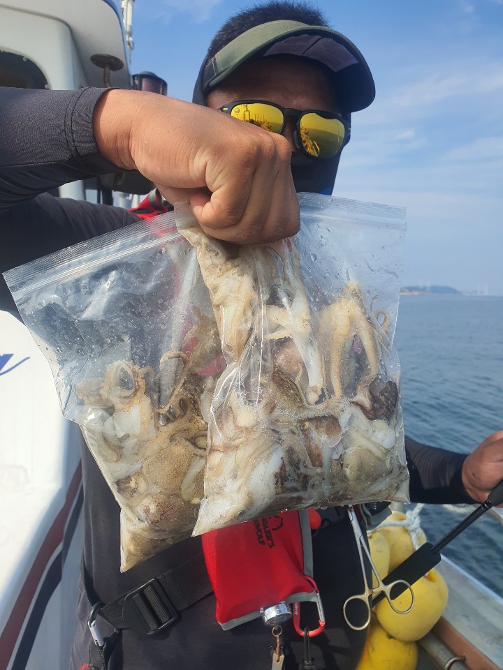 [아라호] 9월 15일 주꾸미 조황(10인출조)