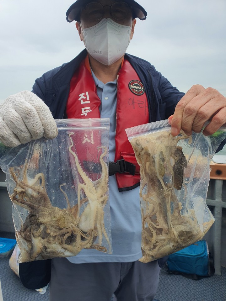 [아라호] 9월 6일 주꾸미 조황