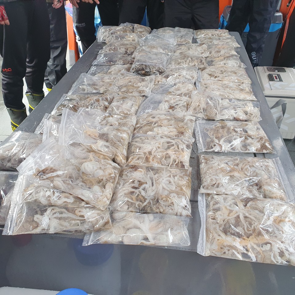 [아라2호] 9월 12일 주꾸미  조황