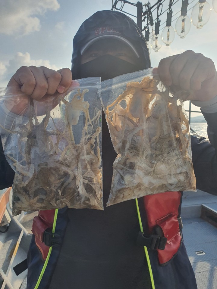 [아라호] 9월 14일 주꾸미 조황