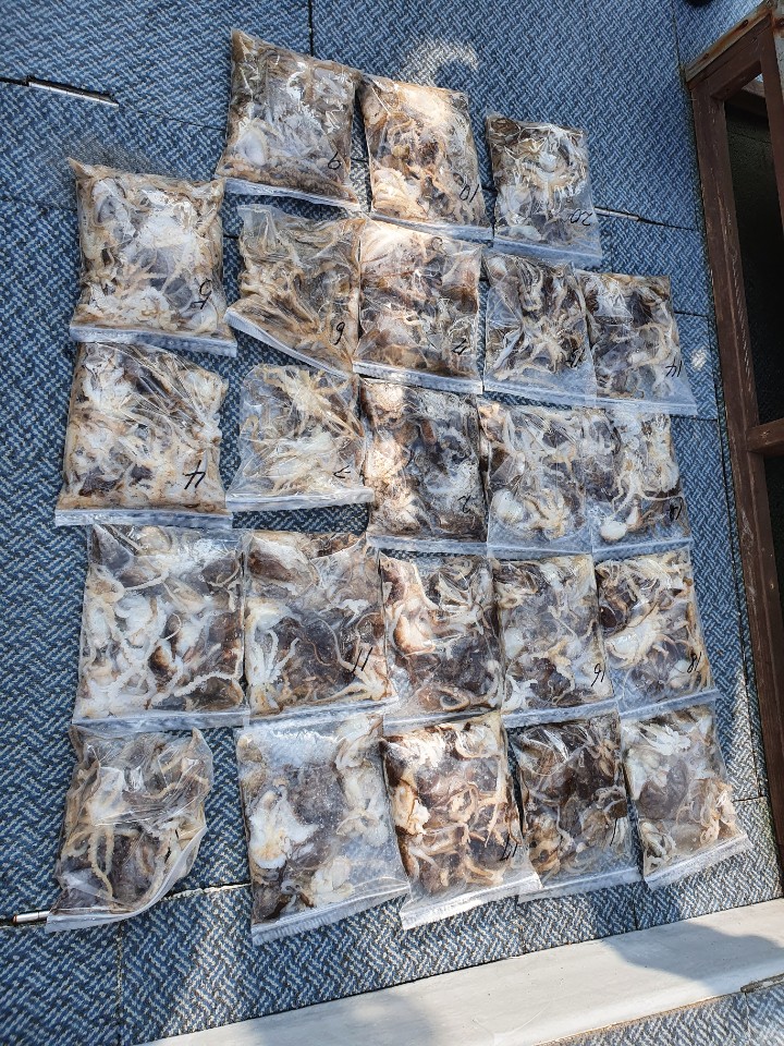 [아라호] 9월 30일 주꾸미 조황