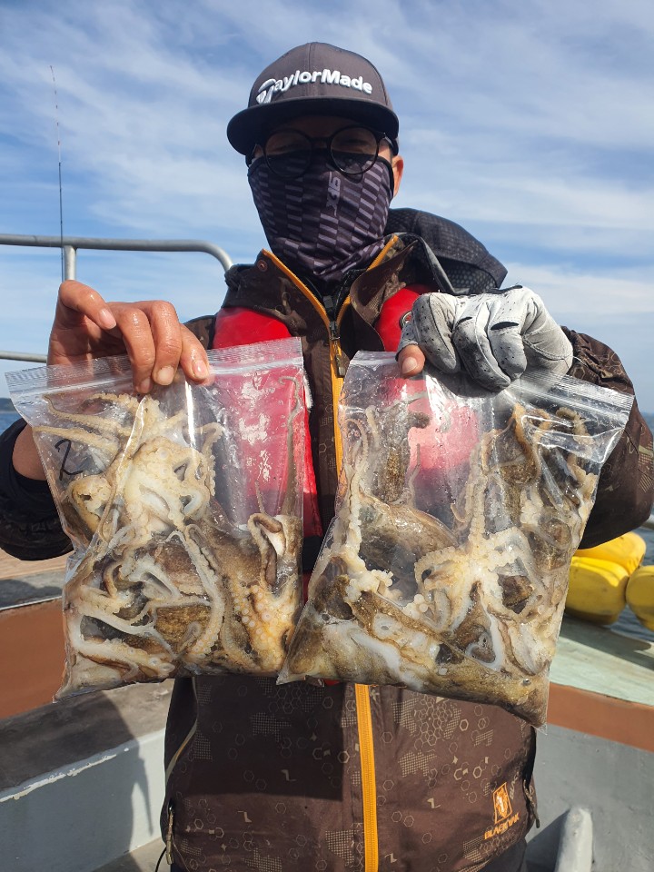 [아라호] 10월 13일 주꾸미 조황