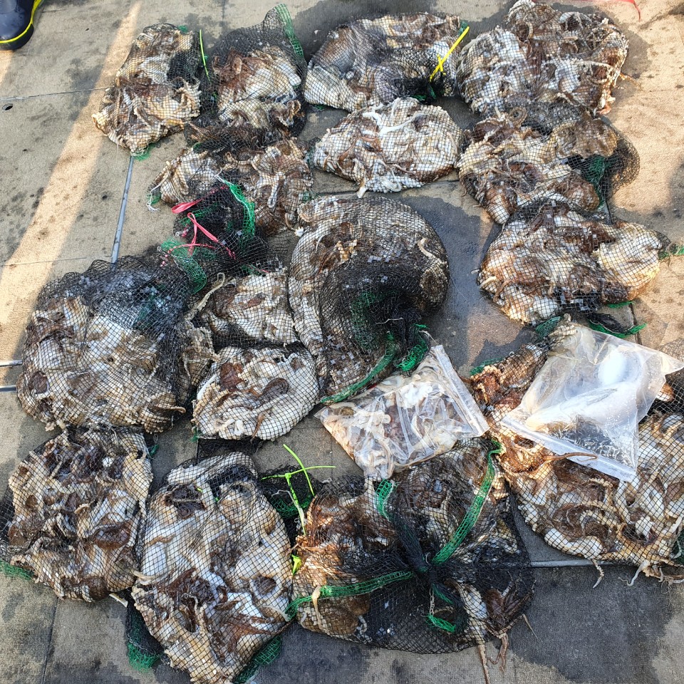 [아라2호] 10월 27일  조황