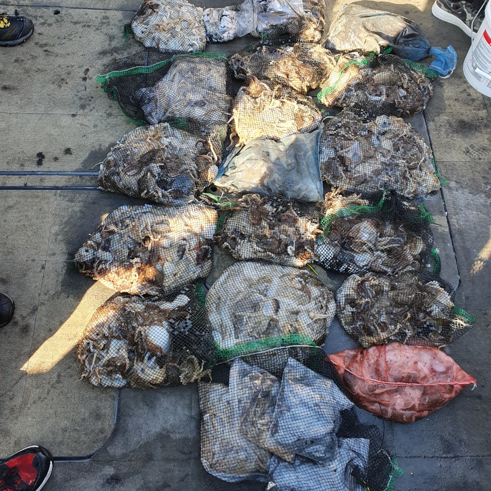 [아라2호] 10월 25일 쭈갑 조황