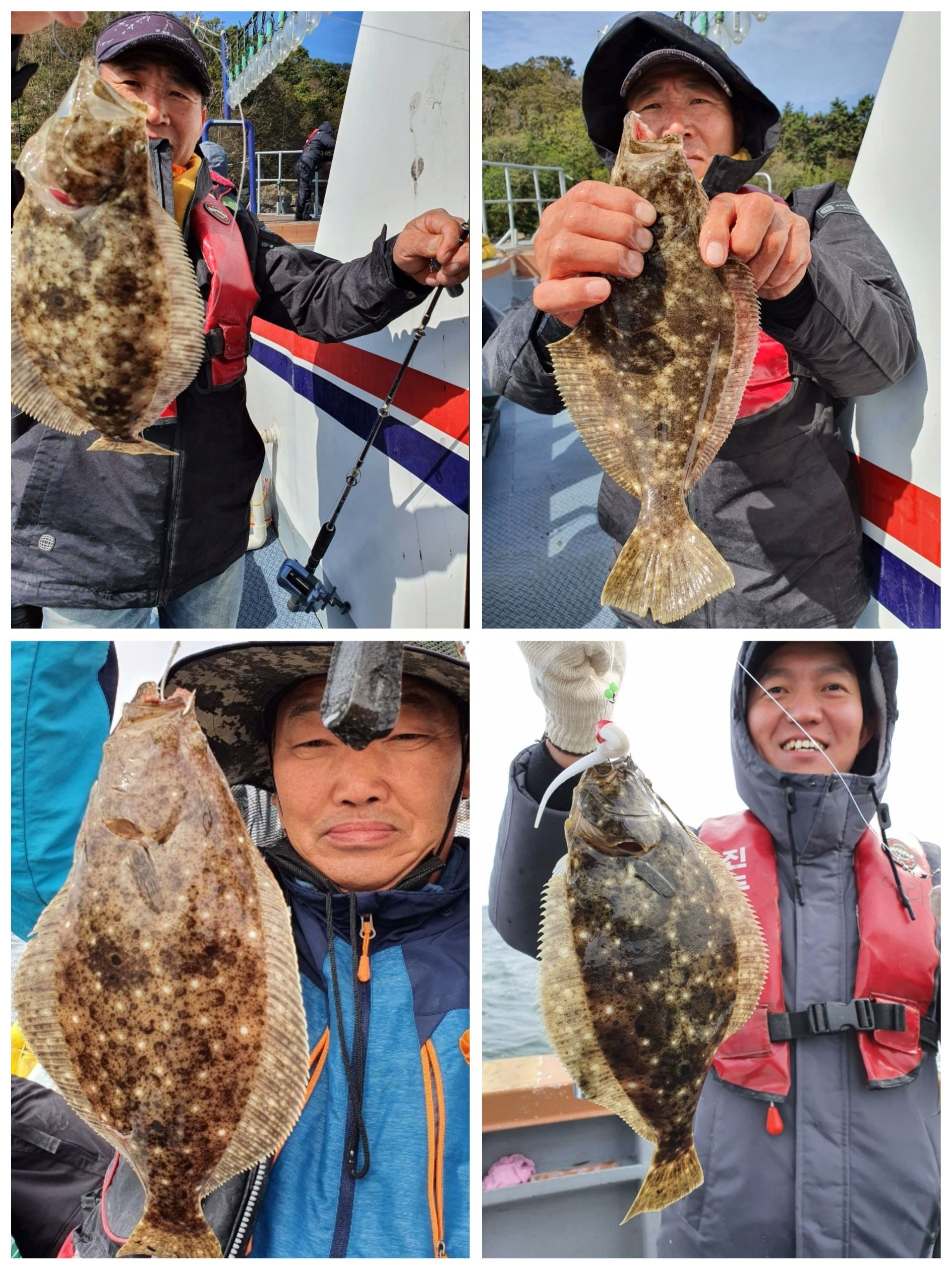 [아라호] 10월 15일 주꾸미 + 광어 조황