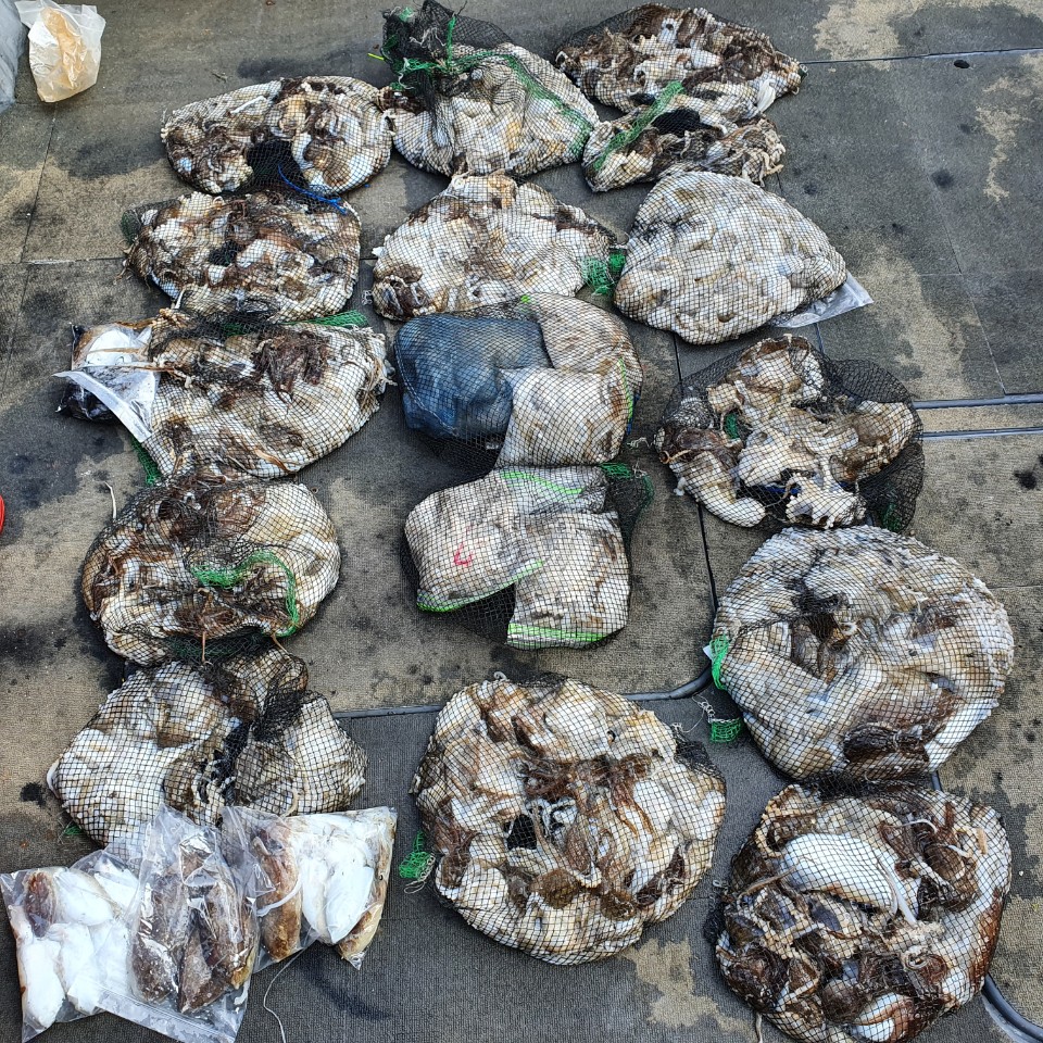 [아라2호] 10월 12일 조황