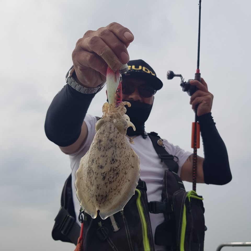 [아라2호] 10월 3일 주꾸미 조황 (+갑이)