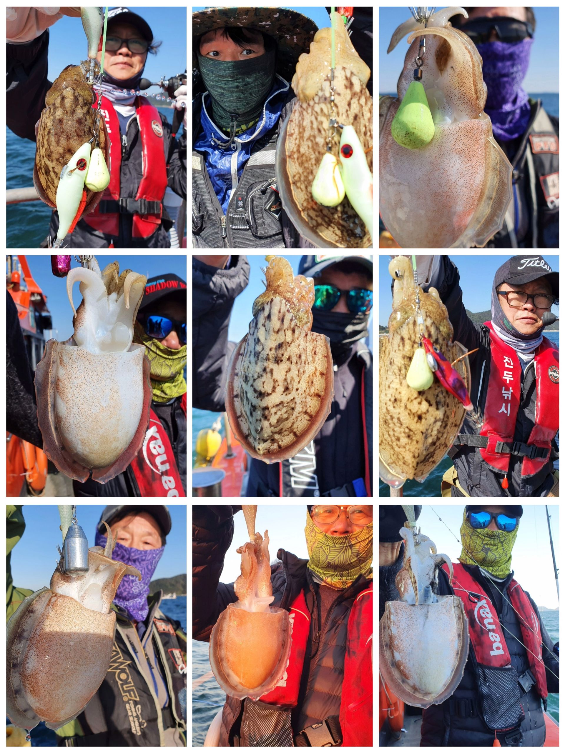 [아라2호] 10월 8일 갑오징어 조황