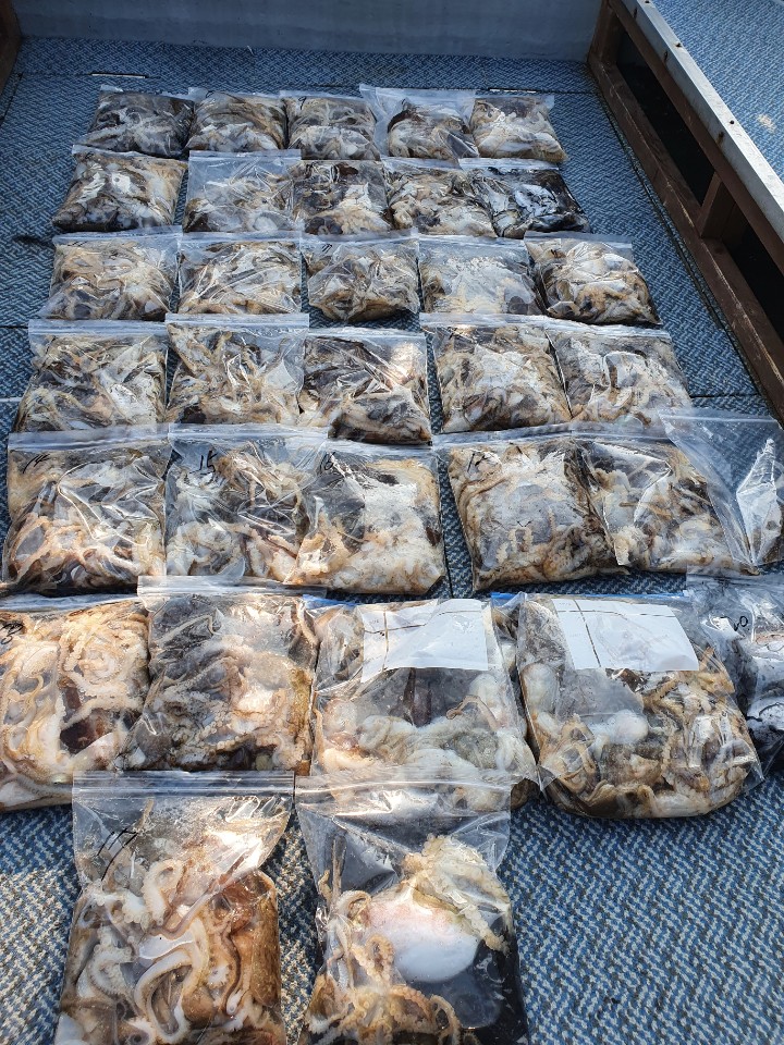 [아라호] 10월 27일 조황