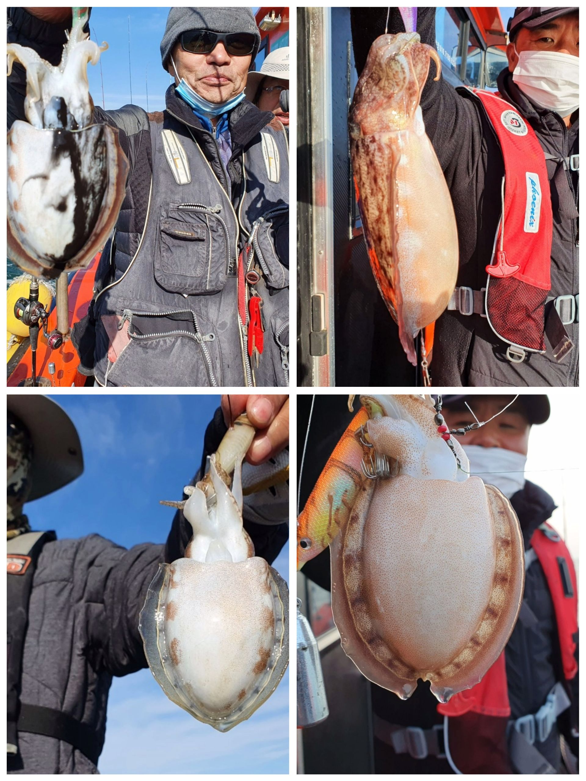 [아라2호] 10월 28일 쭈갑 조황