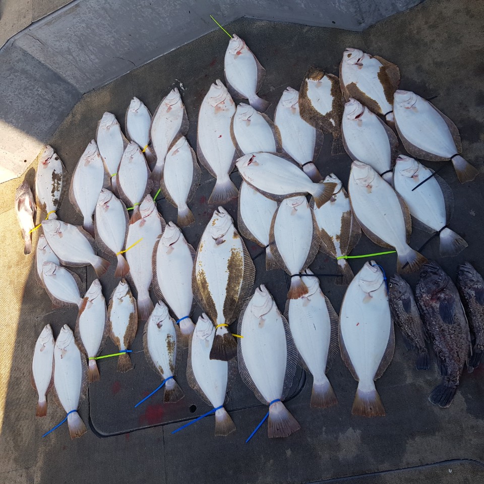 [아라2호] 11월 10일 외수질 조황( 6인출조)