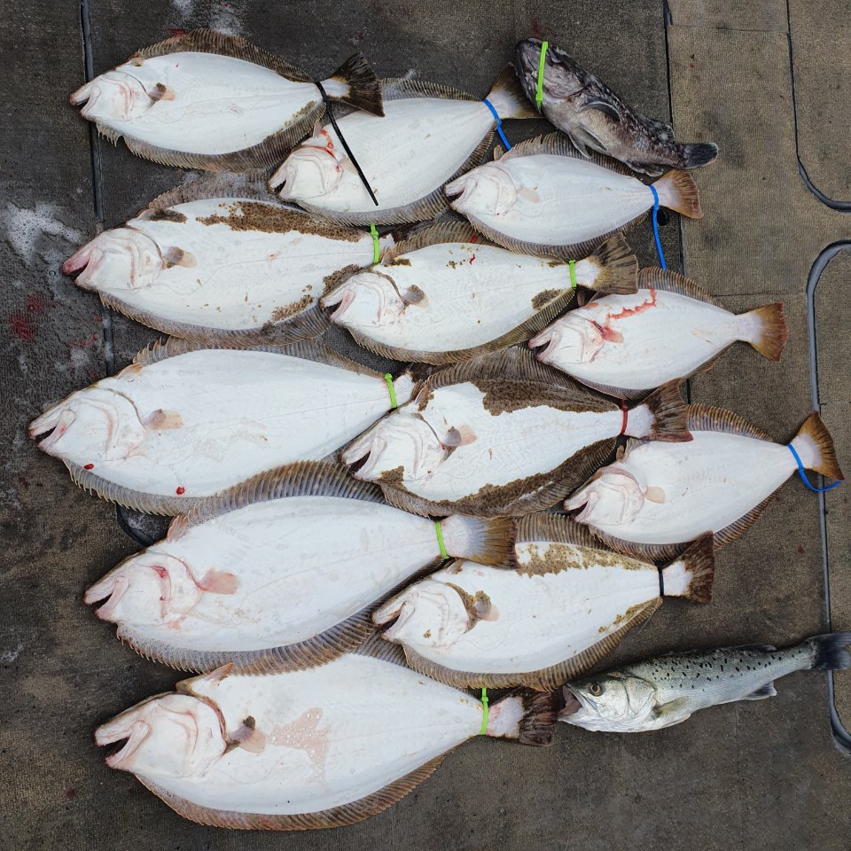 [아라2호] 11월 22일 조황