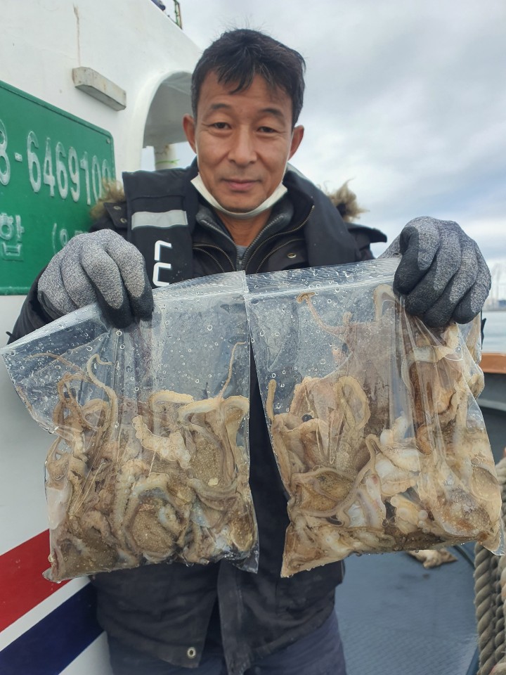 [아라호] 11월 9일 주꾸미  조황