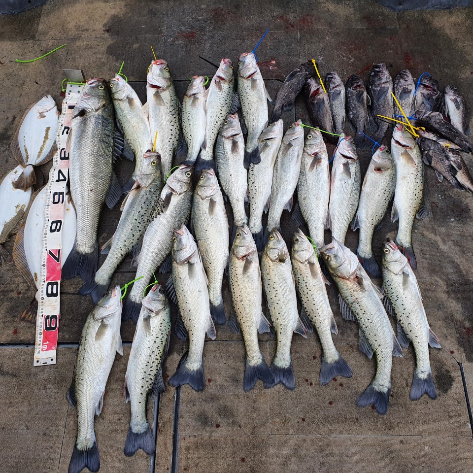 [아라2호] 11월 21일 조황