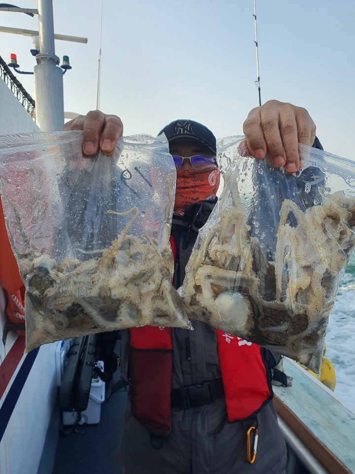 [아라호] 11월 7일 주꾸미 조황