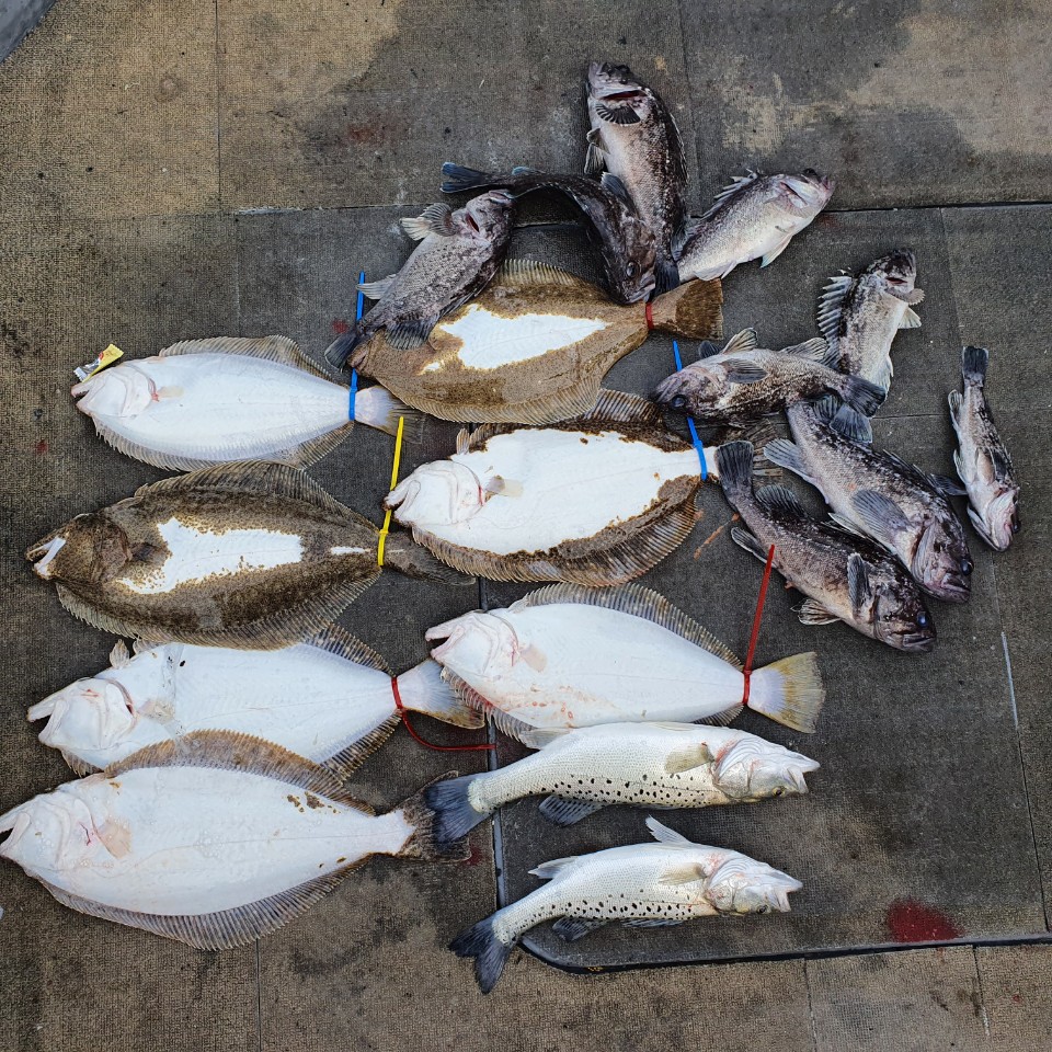 [아라2호] 12월 5일 조황(11인출조)