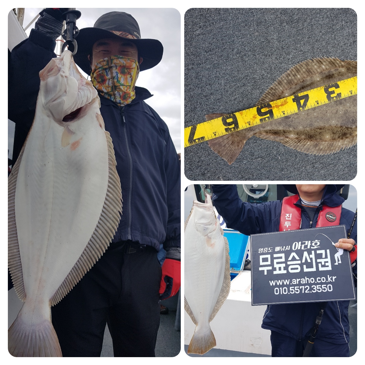 [아라호] 5월 29일 조황 (다운샷7인출조)