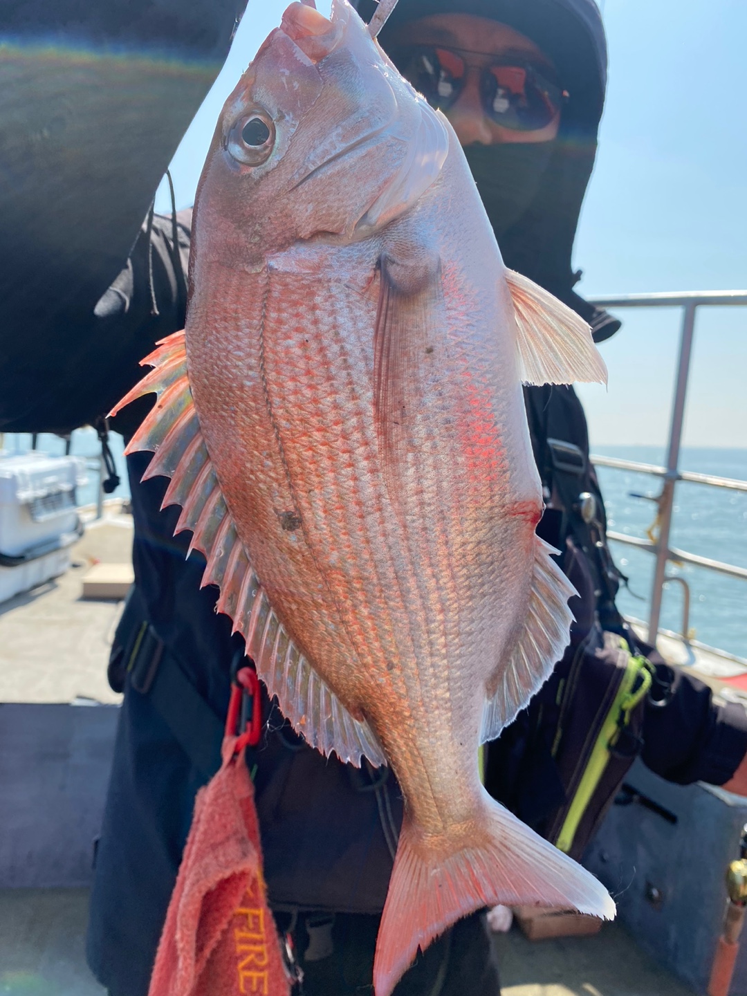 [아라2호] 5월 30일 조황( 참돔타이라바)