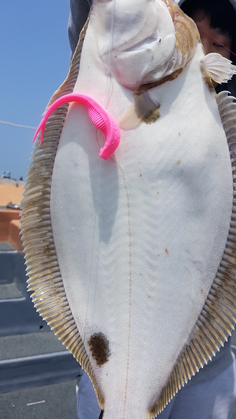 [아라호] 6월 5일 조황