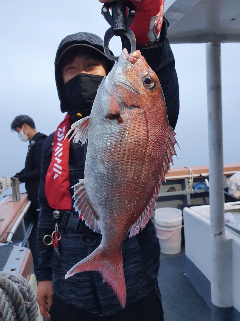 [아라호] 7월 9일 조황 (참돔타이라바)