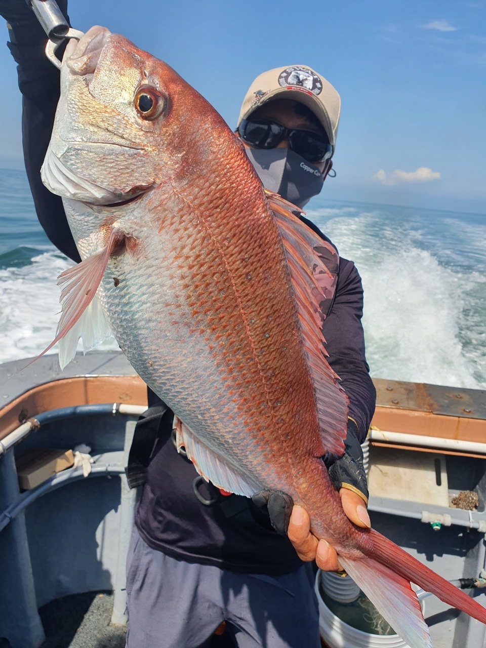 [아라호] 9월 9일 조황 (참돔타이라바)