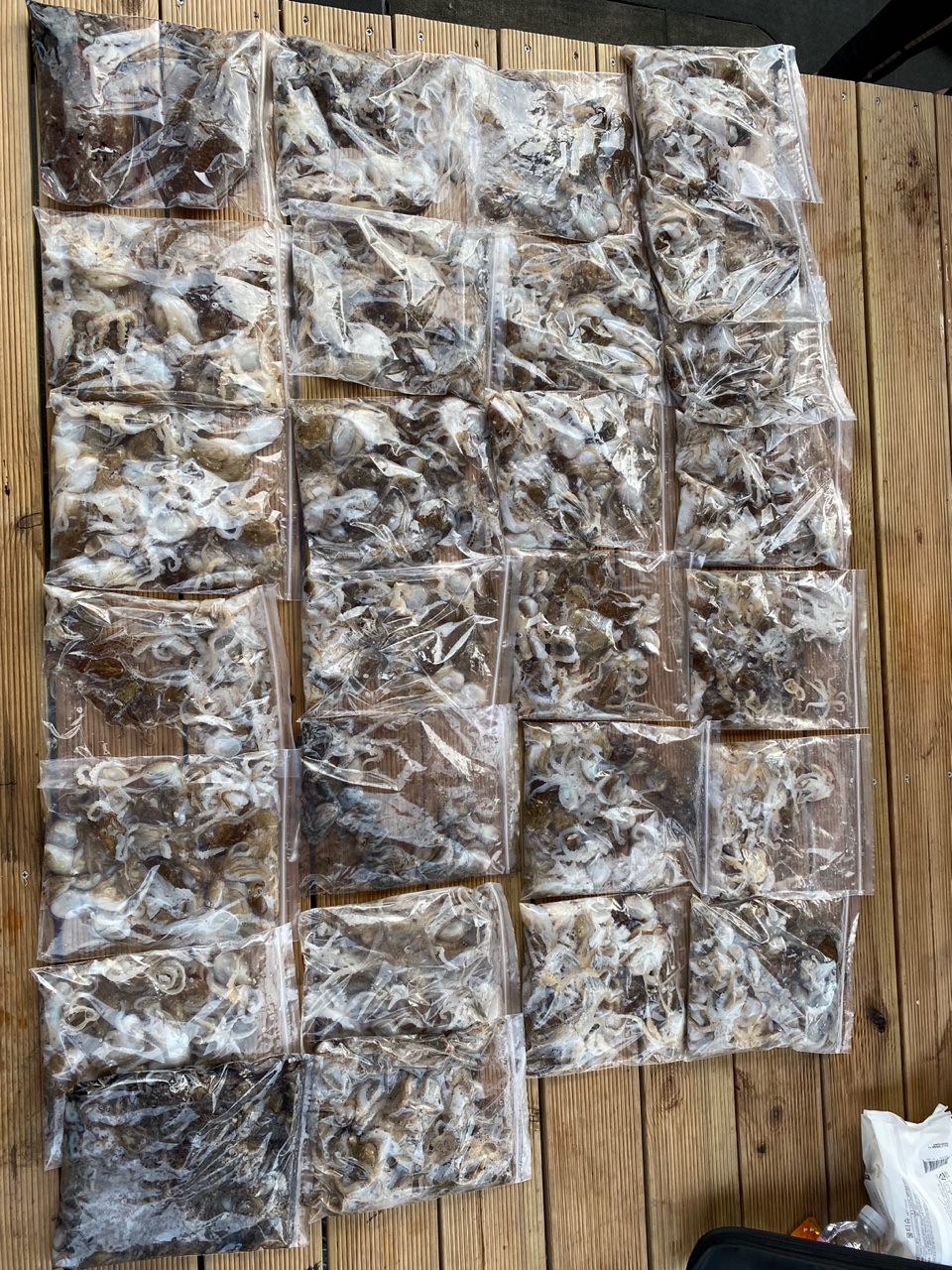 [아라2호] 9월 4일 조황 (독선)