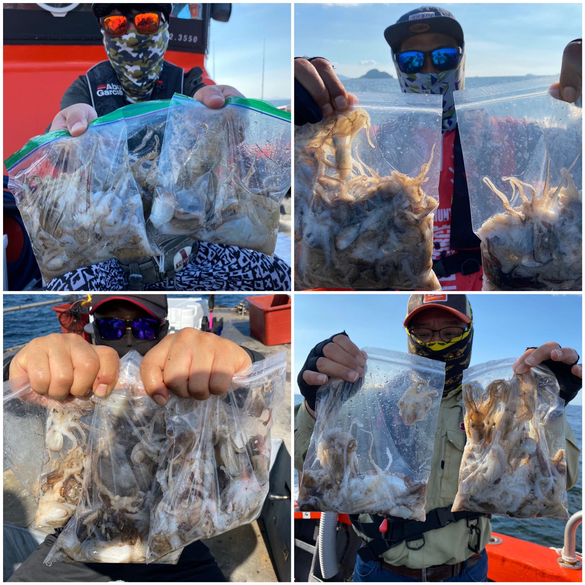 [아라2호] 9월 17일 조황 (주꾸미출조)